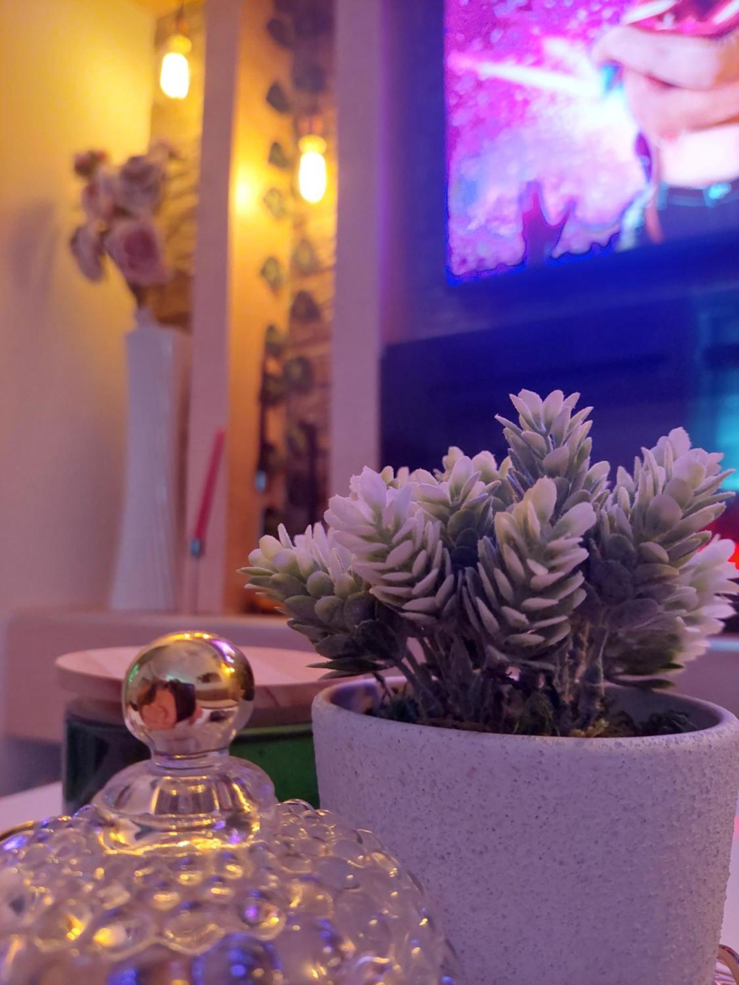 Apartman Star Lux Kula Dış mekan fotoğraf